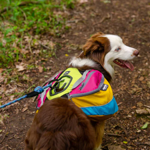 Adventure 2-Piece Dog Pack by Alpha Pak - Image 10