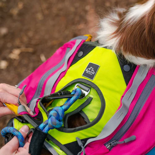 Adventure 2-Piece Dog Pack by Alpha Pak - Image 11