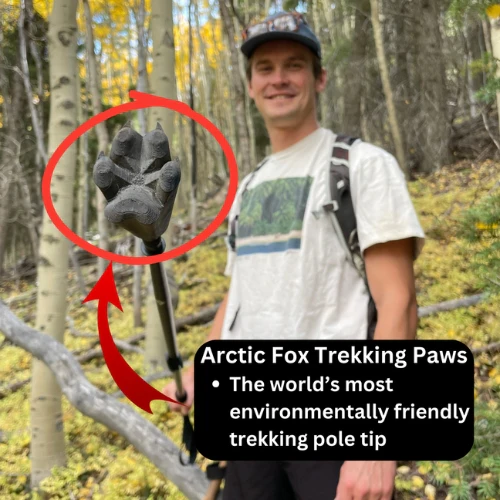 Arctic Fox Trekking Paws by Preservation Dogs - Image 15