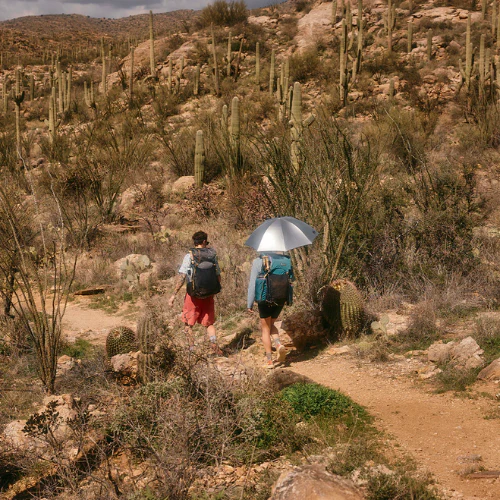 Lightrek Hiking Umbrella by Gossamer Gear - Image 9