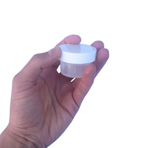 Mini Jars - Image 6