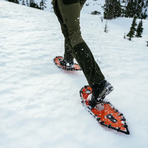 Race (20") by Northern Lites Snowshoes - Image 15