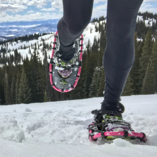 Race (20") by Northern Lites Snowshoes - Image 16