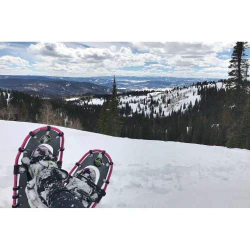 Race (20") by Northern Lites Snowshoes - Image 20