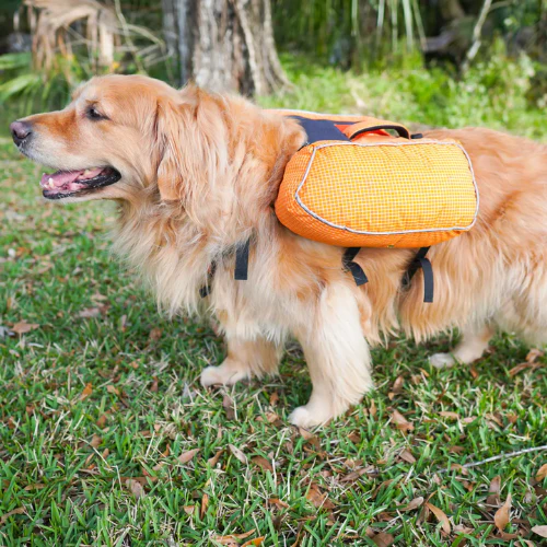 Ultralight Dog Backpack by Red Paw Packs - Image 7